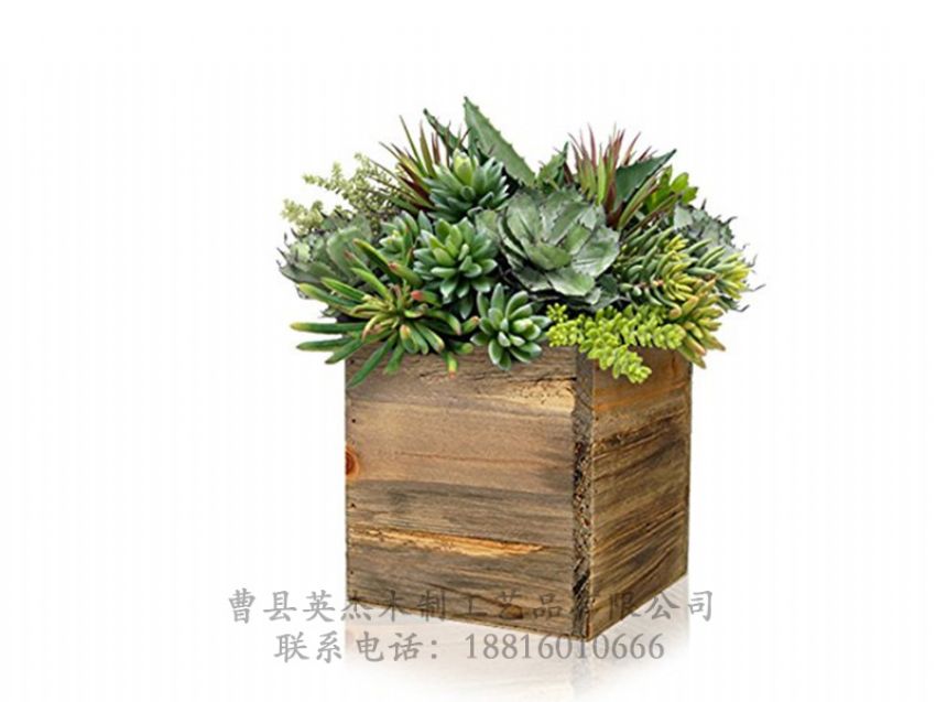點擊查看詳細(xì)信息<br>標(biāo)題：木制花盆 閱讀次數(shù)：806